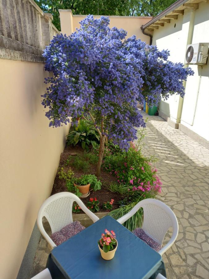 Apartment Punta Pula Exterior foto